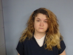 Mugshot of HOLLOWAY, BLAKE ANN