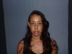 Mugshot of AYERS, ANGELA LEE 