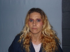 Mugshot of NEAL, MICHELLE LYNN 
